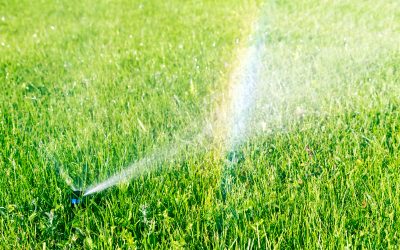 Irrigation Recommendations